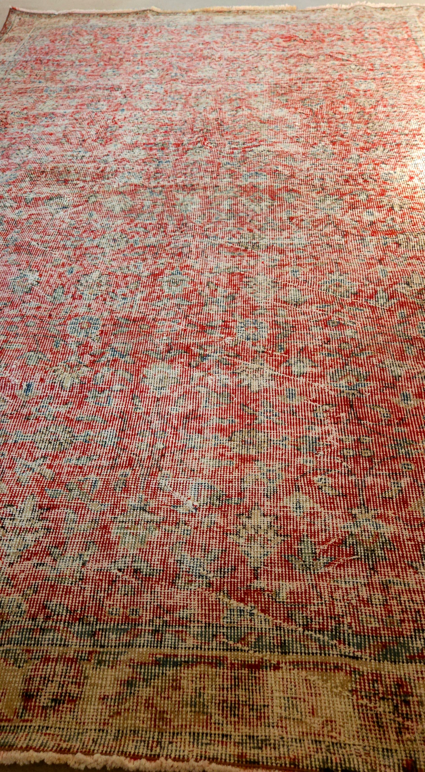 Red Botanical Vintage Rug