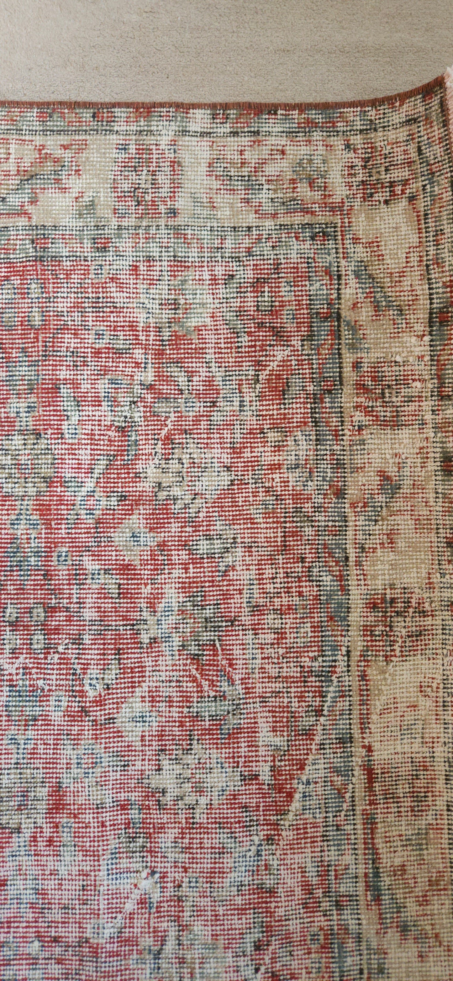 Red Botanical Vintage Rug