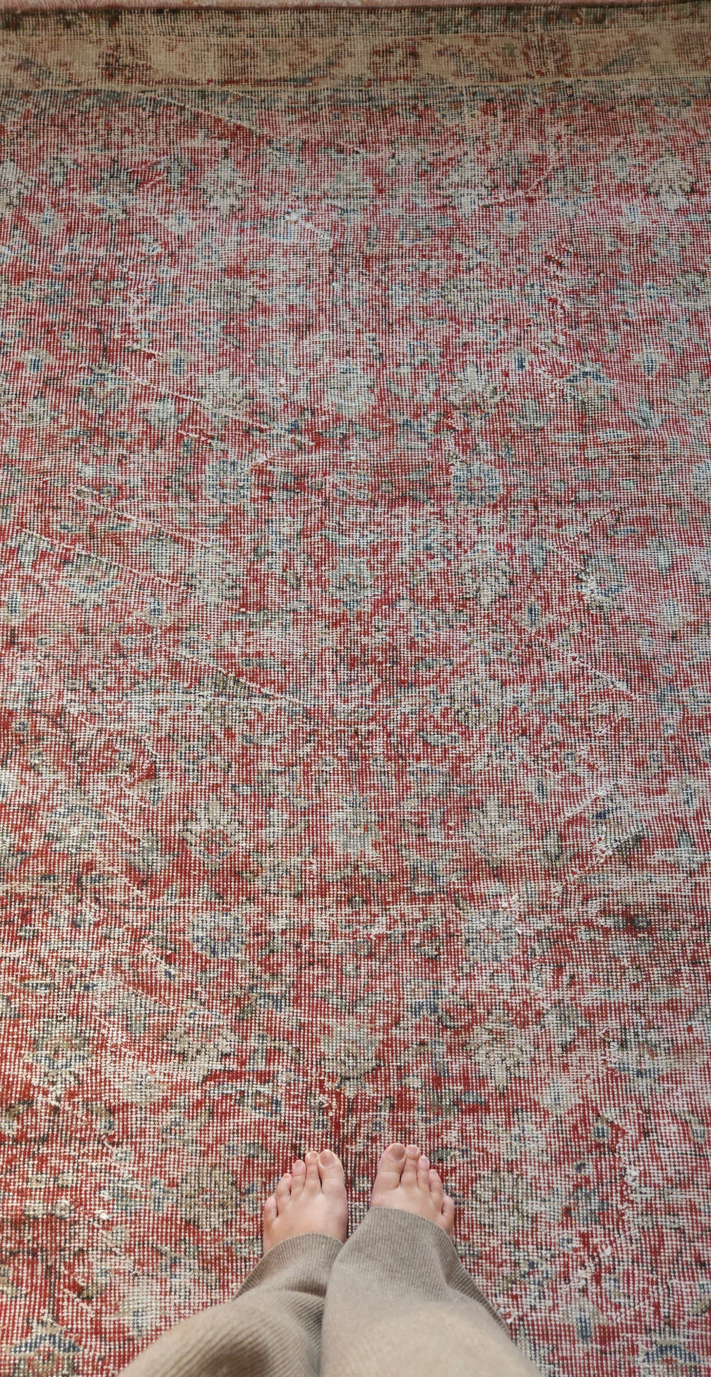 Red Botanical Vintage Rug